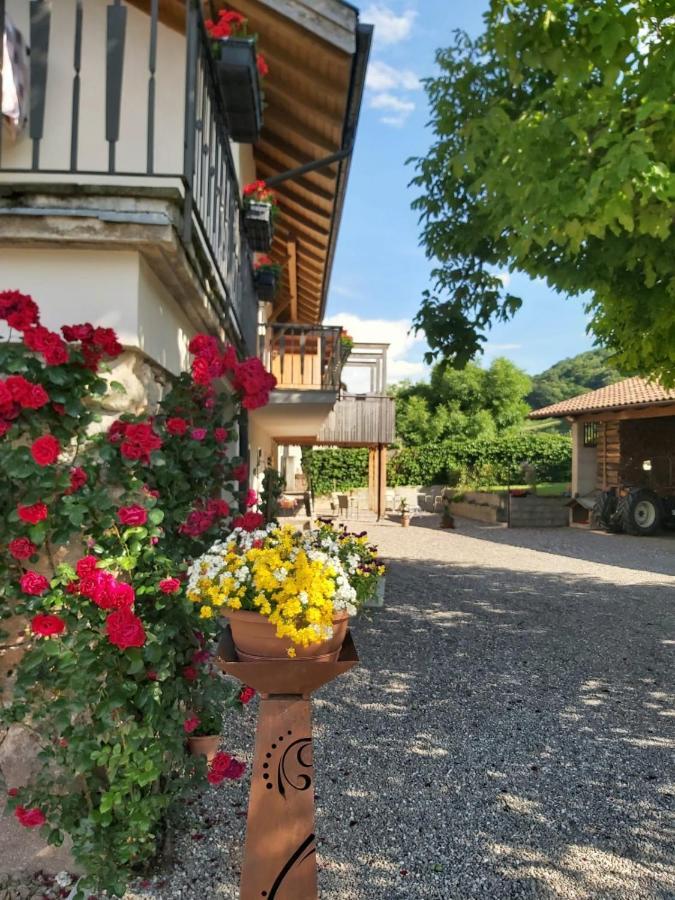 Versigglhof Appiano Sulla Strada Del Vino Zewnętrze zdjęcie