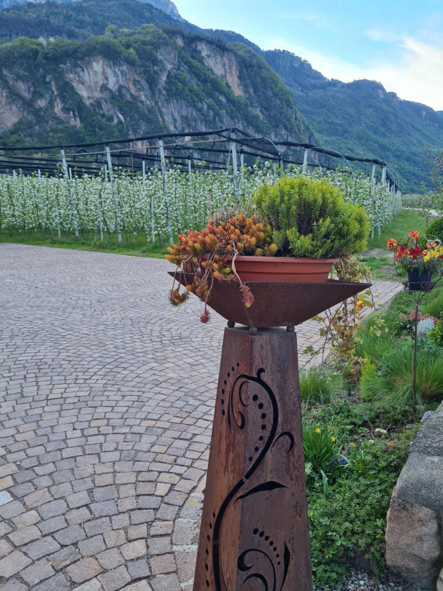 Versigglhof Appiano Sulla Strada Del Vino Zewnętrze zdjęcie