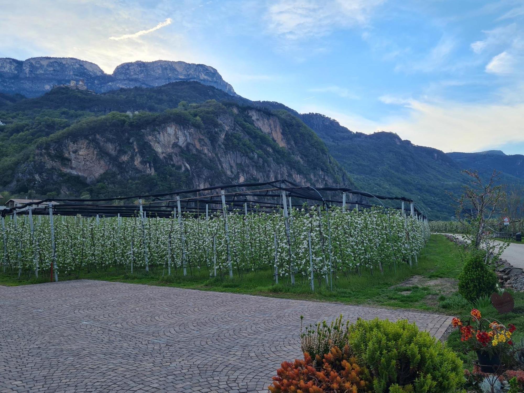 Versigglhof Appiano Sulla Strada Del Vino Zewnętrze zdjęcie