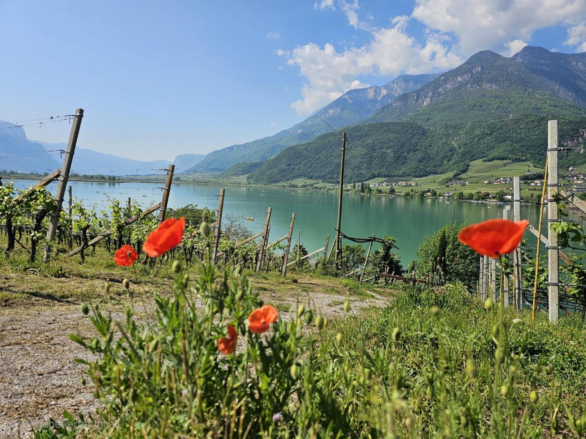 Versigglhof Appiano Sulla Strada Del Vino Zewnętrze zdjęcie
