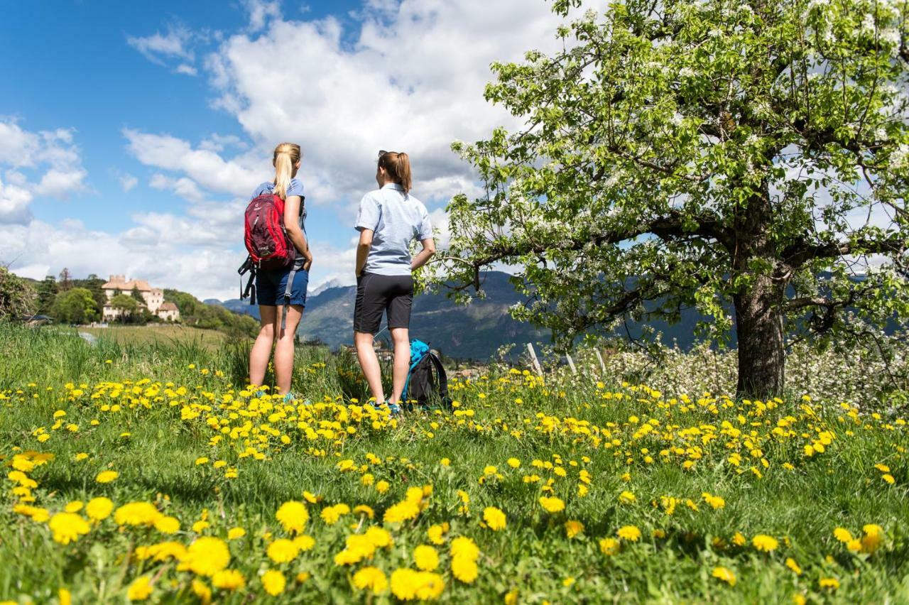 Versigglhof Appiano Sulla Strada Del Vino Zewnętrze zdjęcie